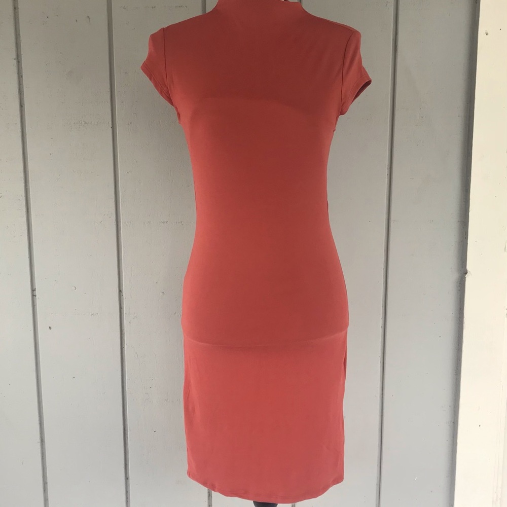 NWT Heart & Hips Dress